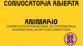 El festival ANIMARIO