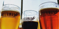 The Casa de Campo Park Glass Pavilion hosts the latest edition of the Madrid craft beer festival.