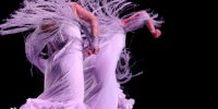 'Naturalmente Flamenco'. Ballet Flamenco de Andalucía© Daniel M. Pantiga