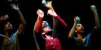 Sinergia, vuelven los artesanos circenses al Teatro Circo Price