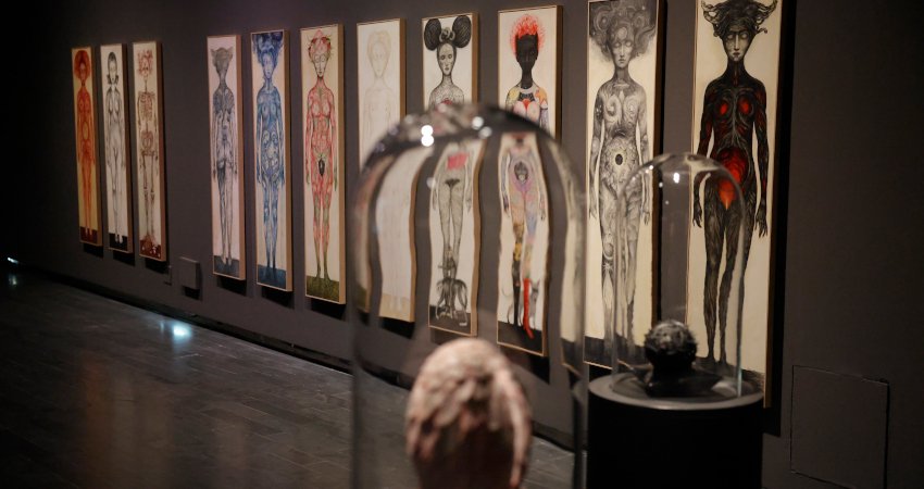 Exposición 'Wunderkammer', de Ana Juan, en CentroCentro