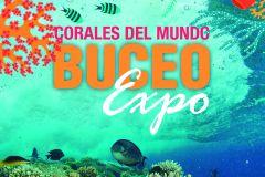 Madrid vuelve a acoger el mayor encuentro anual de la industria del buceo