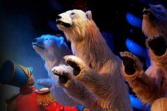 Los osos polares llegan al Teatro Circo Price